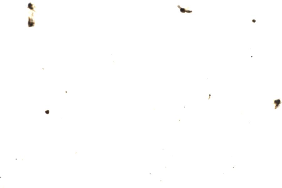 Image 45